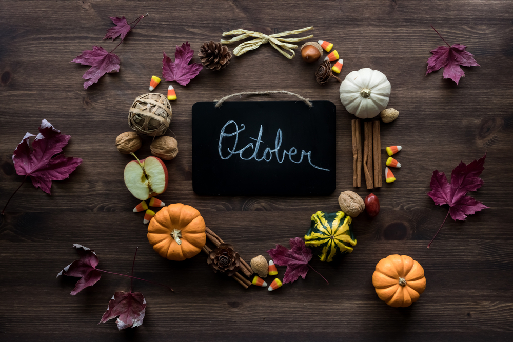 Blog Image Banner