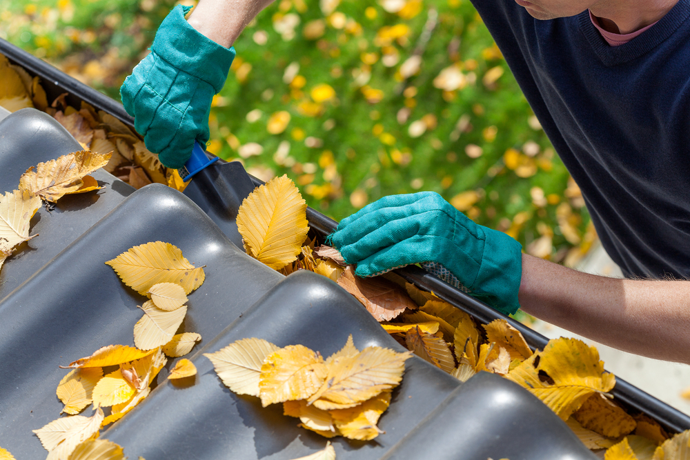 Essential Fall Home Maintenance Tips for a Warm and Energy-Efficient Home Blog Image Banner