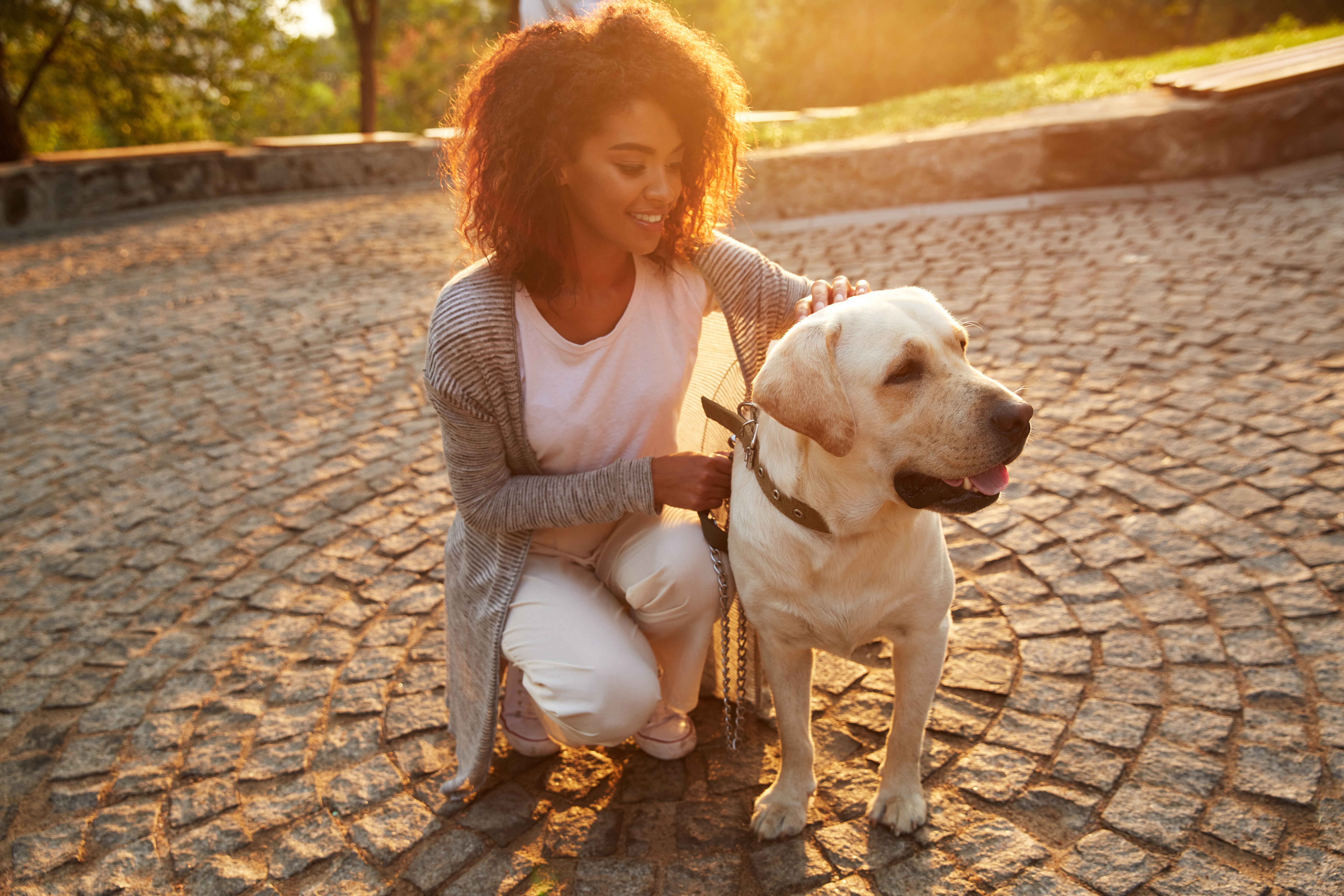 Explore Austin's Top Dog-Friendly Dining and Outdoor Spots for You and Your Pup Blog Image Banner