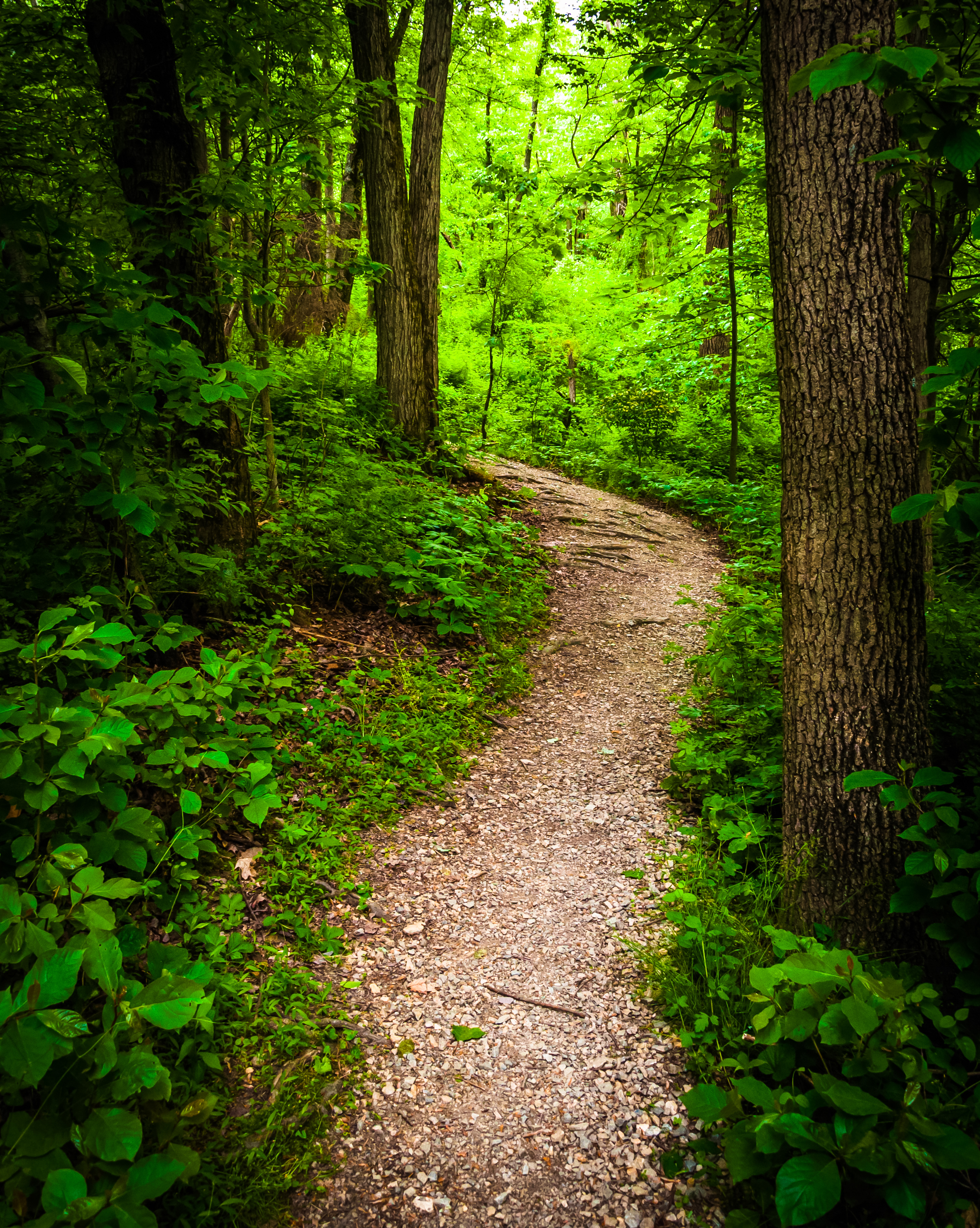 Discover Free and Affordable Summer Fun in Cass County, Texas: Parks, Events & More Blog Image Banner