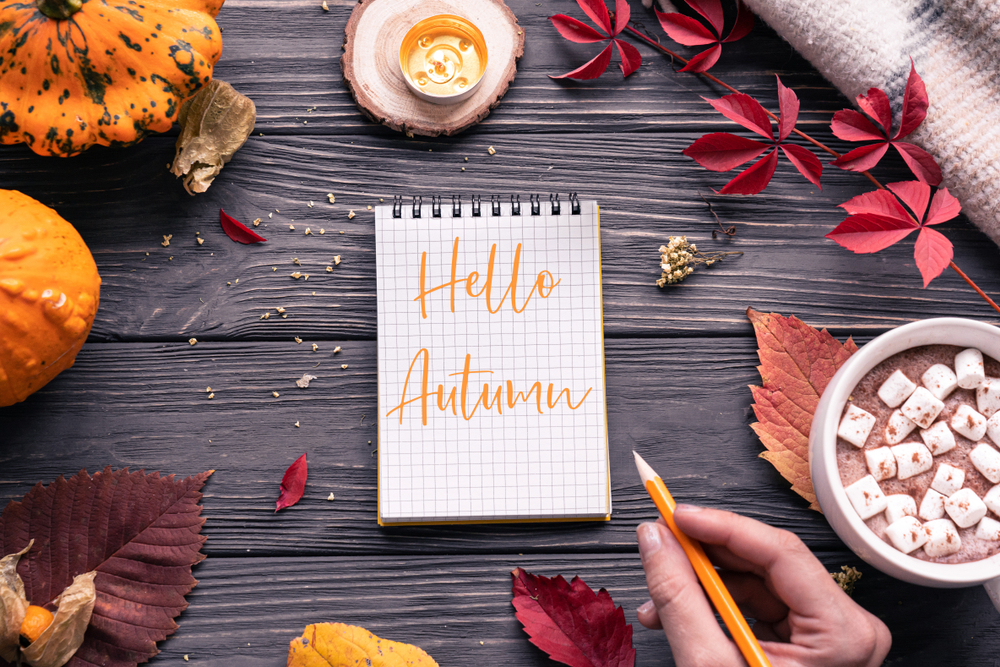 Blog Image Banner