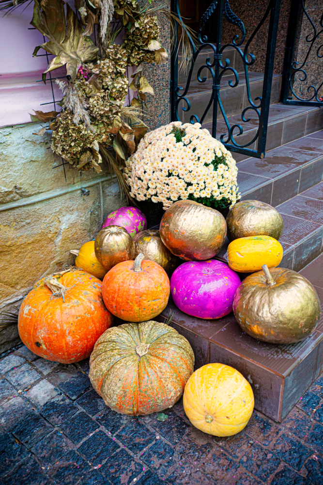 Enhance Your Home's Fall Appeal: 5 Essential Staging Tips for a Cozy Atmosphere Blog Image Banner