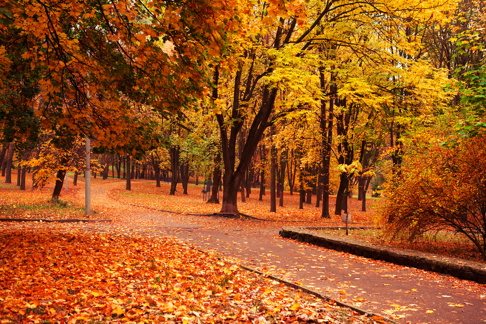 Navigate East Texas Real Estate: How Interest Rate Fluctuations Impact Buyers and Sellers Blog Image Banner