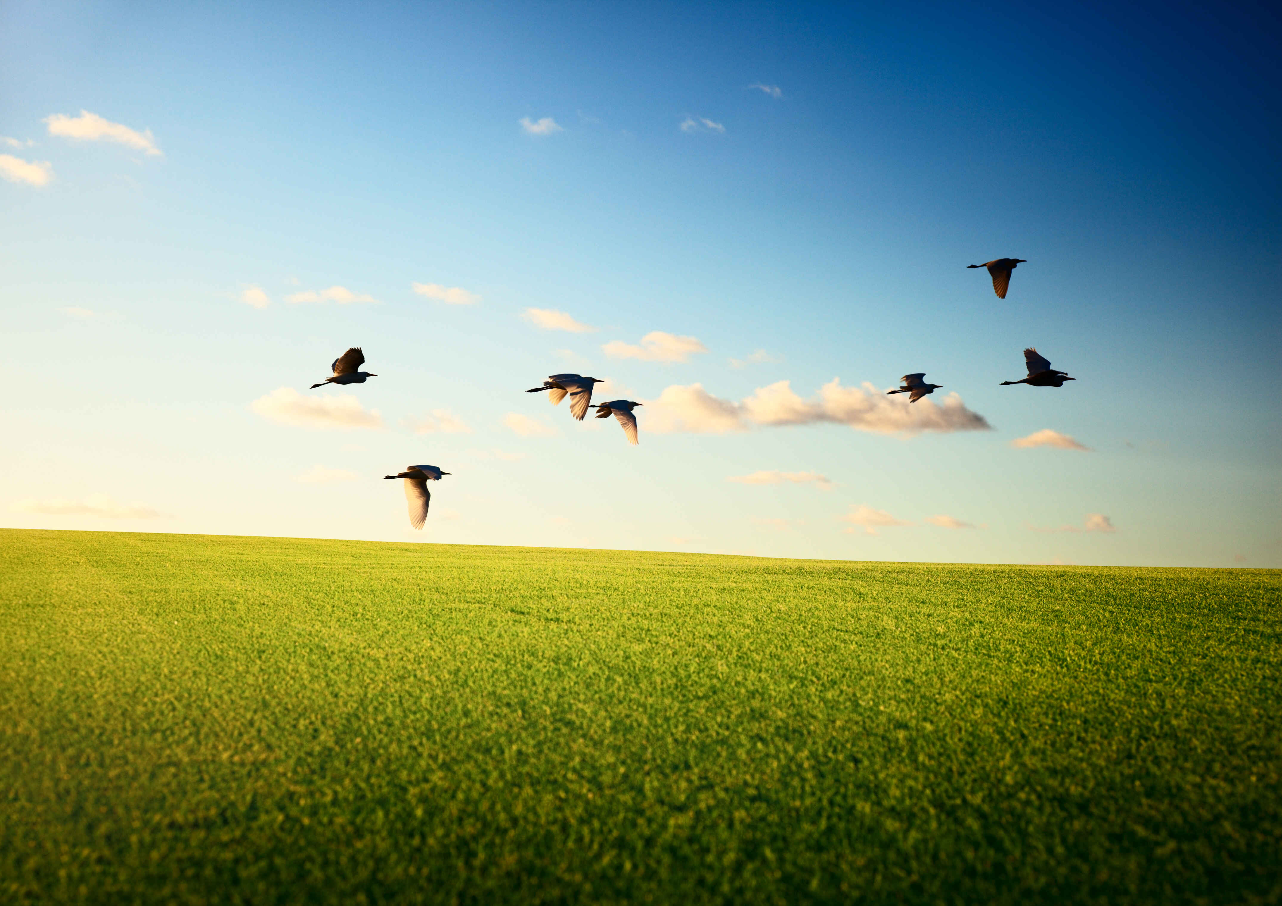 Essential Tips for Buying Land in Texas: What You Need to Know Before Investing Blog Image Banner