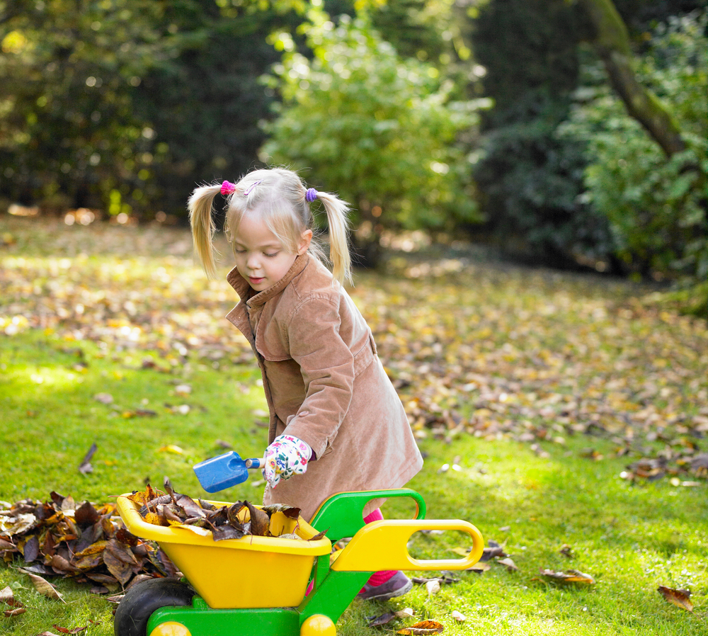 Essential Fall Home Maintenance Tips for Buyers and Sellers Blog Image Banner