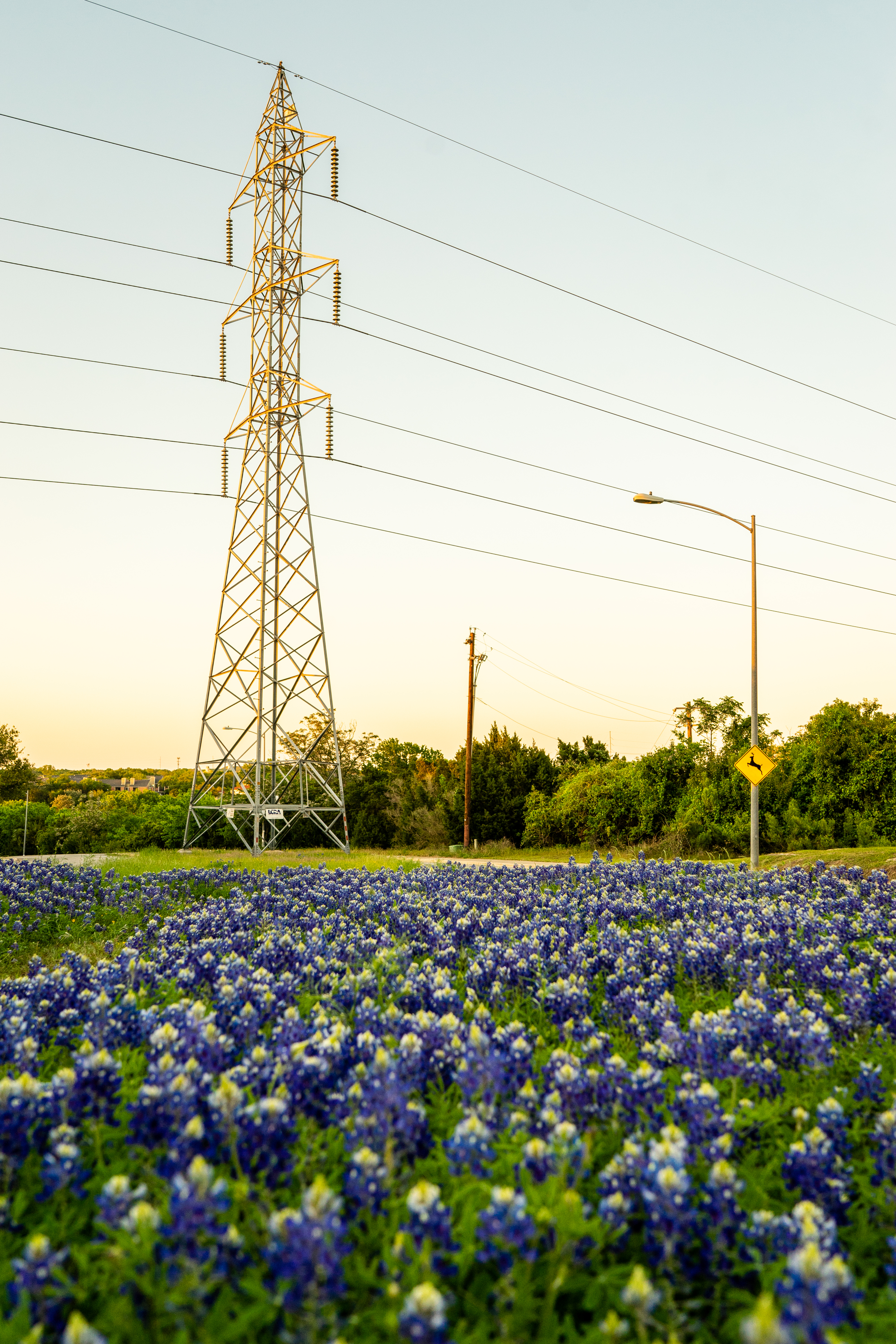 Navigate Austin's Flood Risks: Essential Guide for Homeowners and Buyers Blog Image Banner