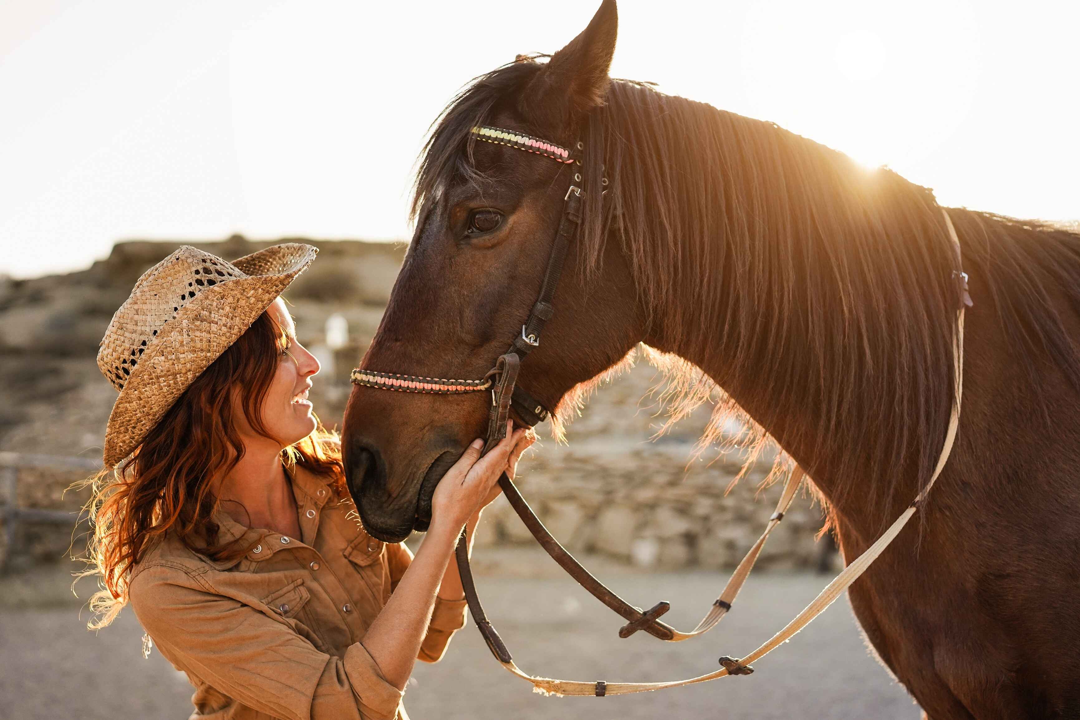 Discover the Allure of Terlingua Ranch: Your Gateway to West Texas Desert Living Blog Image Banner