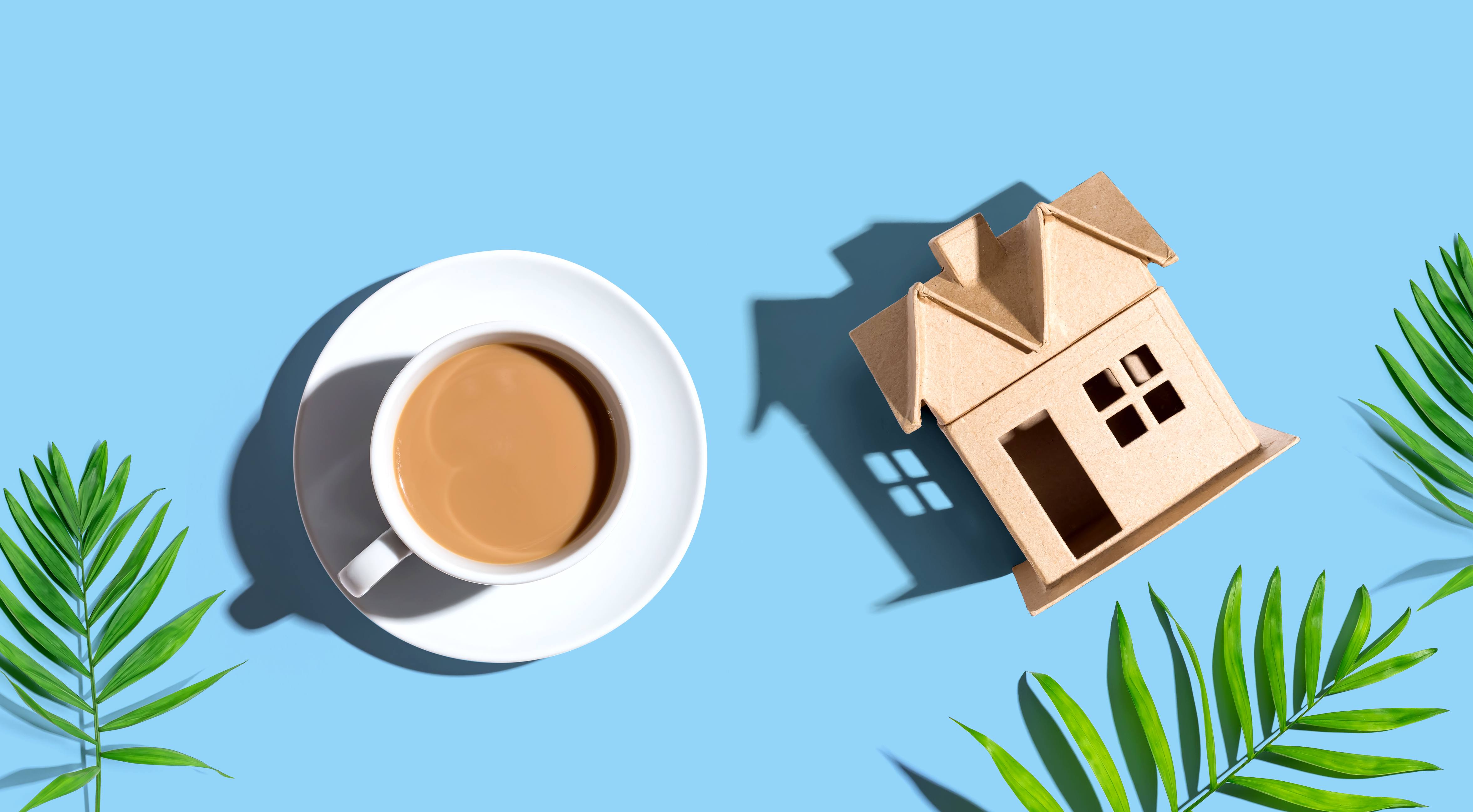 Blog Image Banner