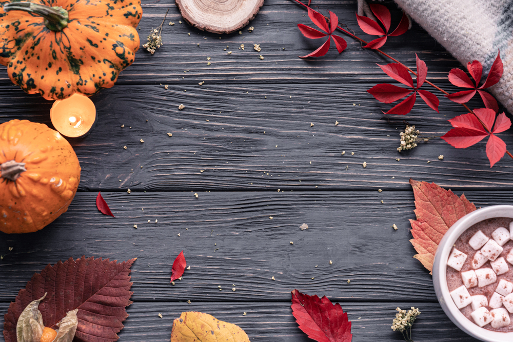 Find Ideal Fall Rentals in Killeen: Expert Tips for Securing Your Perfect Apartment Blog Image Banner